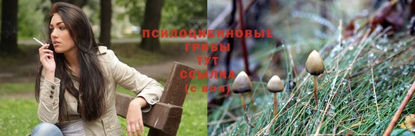 дмт Алексеевка