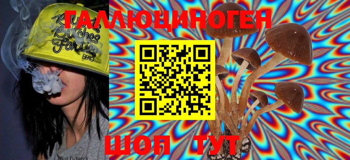 Аша  Галлюциногенные грибы MAGIC MUSHROOMS  Вход с VPN 